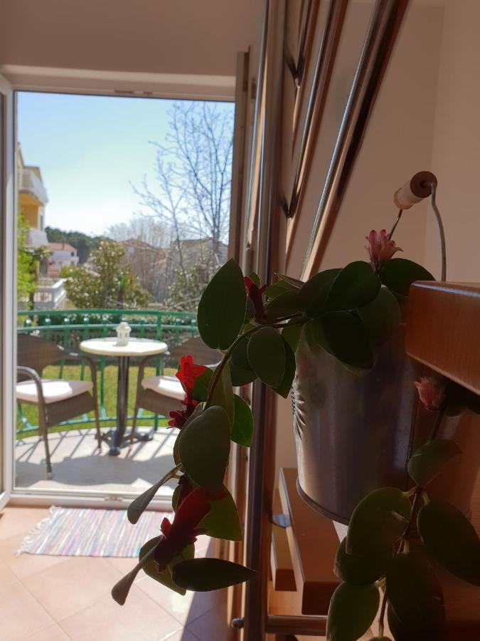 Apartments Skocic 沃迪切 外观 照片