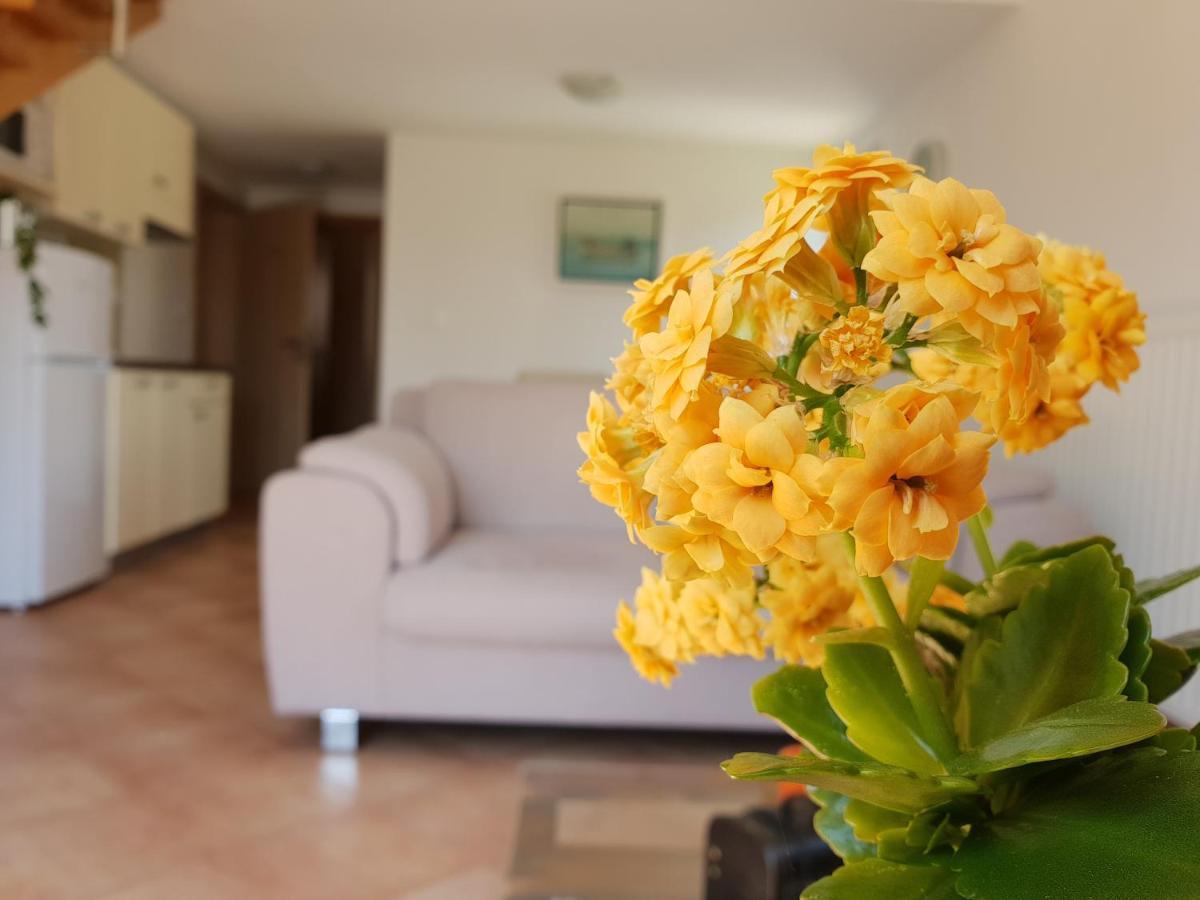 Apartments Skocic 沃迪切 外观 照片