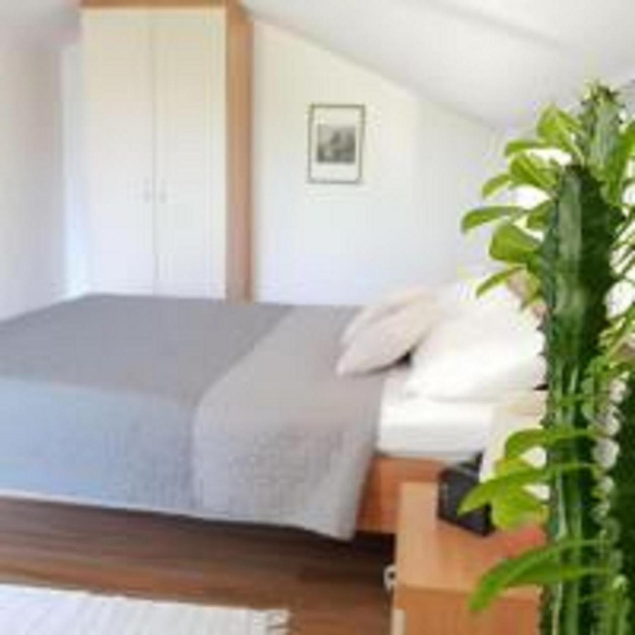 Apartments Skocic 沃迪切 外观 照片